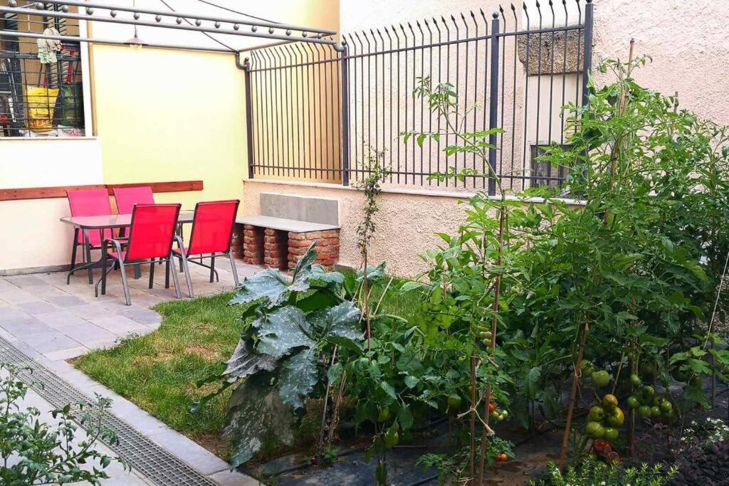 Cozy House With Garden In The Old Town Daire Selanik Dış mekan fotoğraf